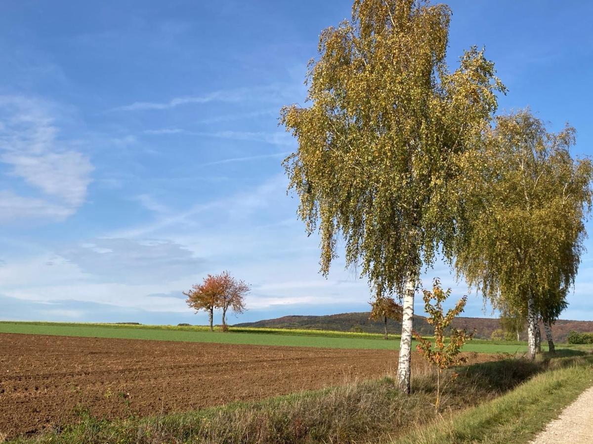 Ferienwohnung Franken Hallerndorf Esterno foto